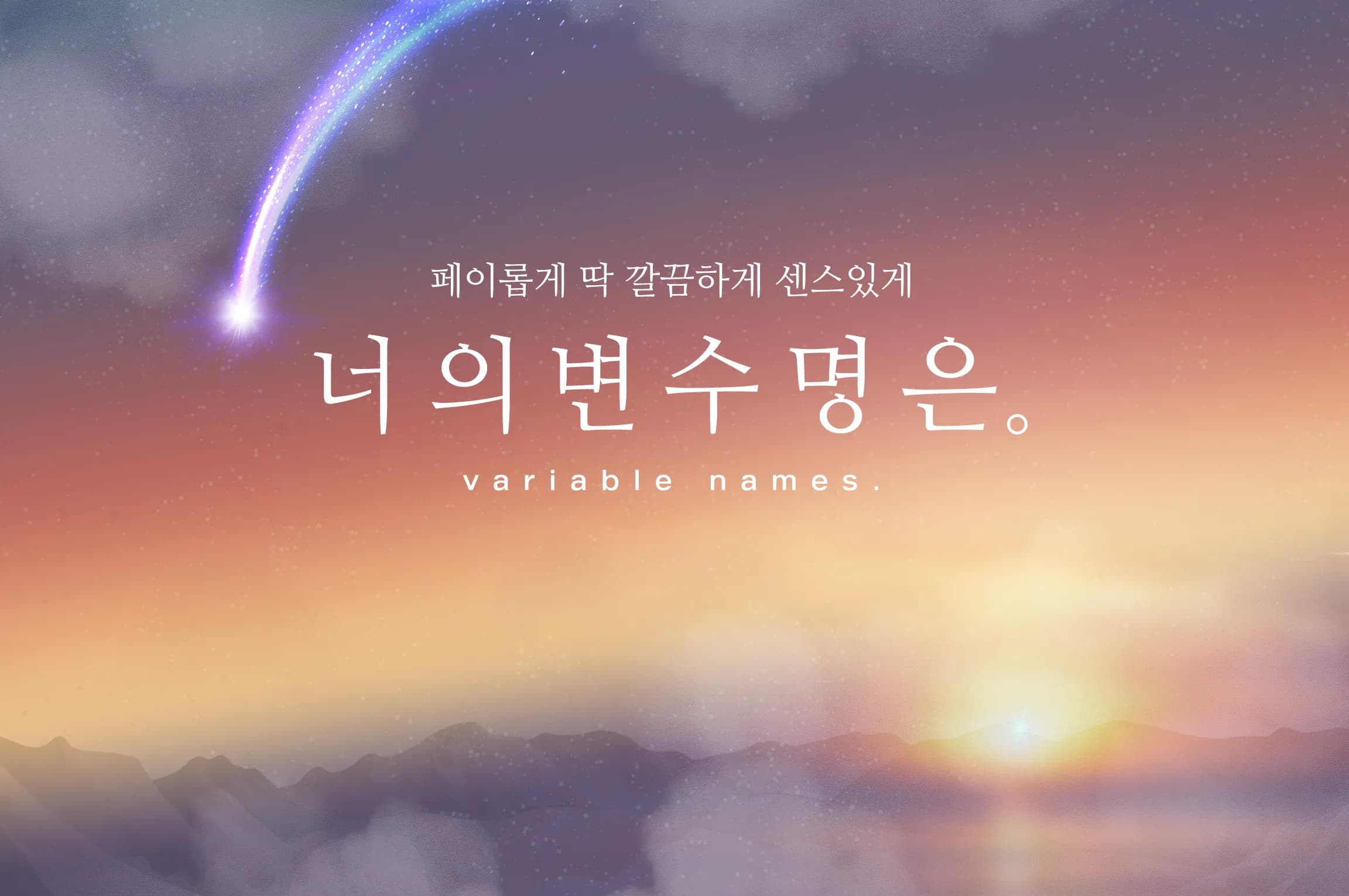 변수